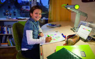 Как выбрать хорошую настольную лампу для школьника — популярные модели.