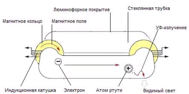 из чего состоит индукционная лампа устройство
