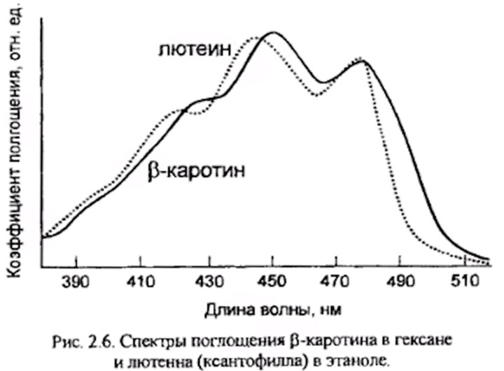 эксперимент с каротиноидами при засветке растений