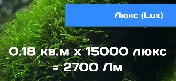 формула расчета освещенности аквариума и выбор светильников по люксам и люменам