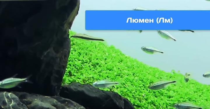 выбор и расчет светильников для аквариума по люменам