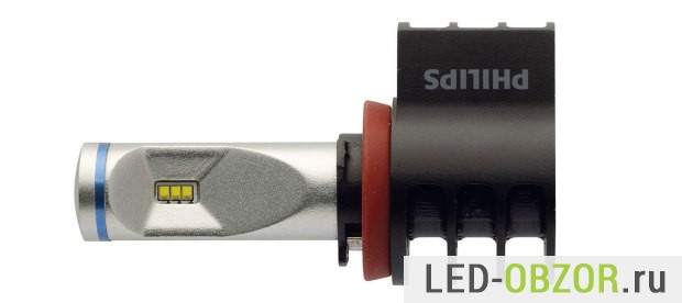 Большое фото